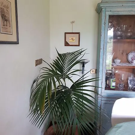 Apartament Arco D'augusto *